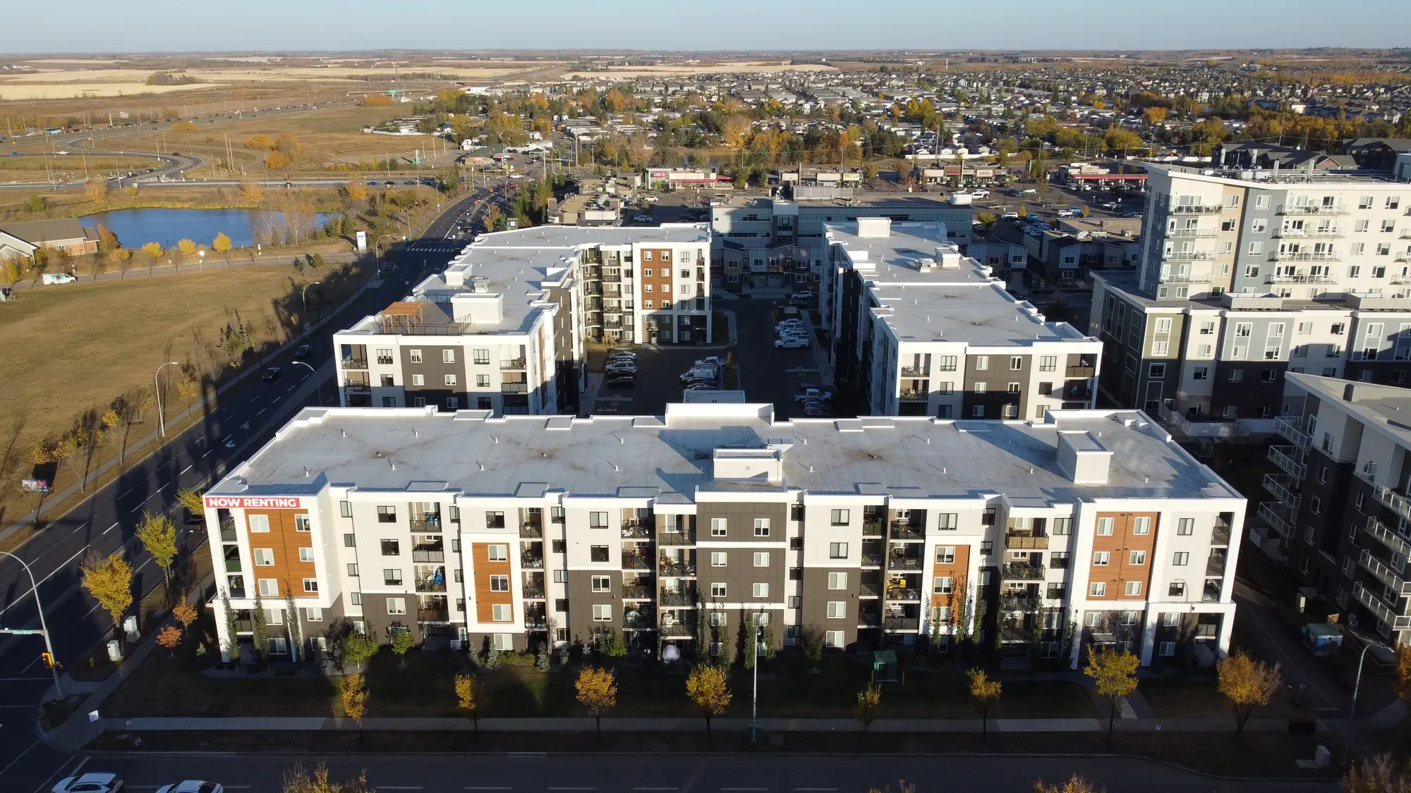 Window Blinds for Apartments in Edmonton