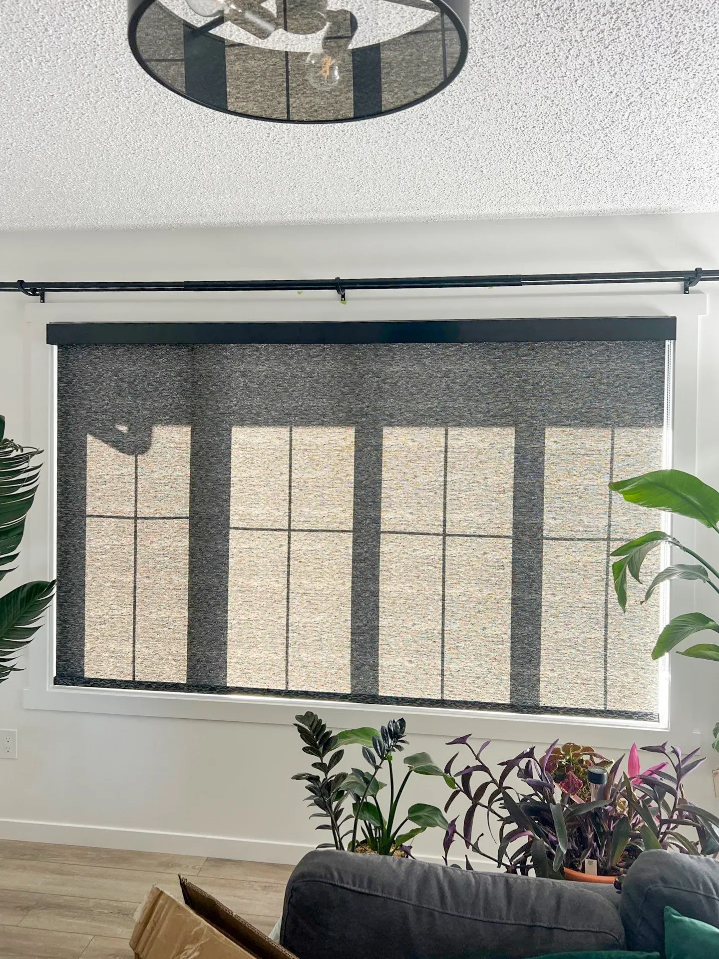 Solar Shades