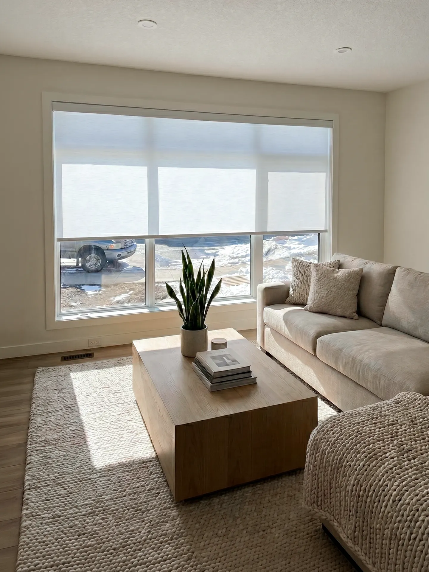 Roller Blinds